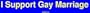 I Support Gay Marriage MINIATURE Sticker