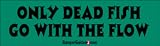 Only dead fish go with the flow - funny bumper stickers (Medium 10x2.8 in.)