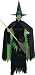 Wizard of Oz tm Wicked Witch tm Adult Fancy Dress Costume