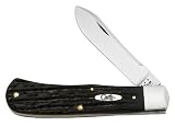 Case Cutlery 65017 Buffalo Horn Back Pocket Handle