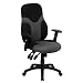 Flash Furniture High Back Ergonomic Black and Gray Mesh Task Chair with Adjustable Arms