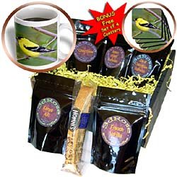 Birds - American Gold Finch - Coffee Gift Baskets - Coffee Gift Basket by 3dRose LLC