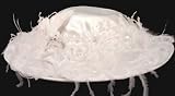 White Satin, Floral, and Feather Victorian Hat