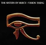 Vision Thing