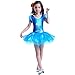 Jastore Girls Princess Crystal Shoes Print Dance Dress Ballet Leotard Tutu Dress