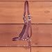 Sporting Goods : Leather Figue 8 Foal Halter