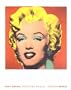 Andy Warhol: Series and Singles
