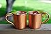Alchemade 100% Pure Hammered Copper Mug Set - Set of 2 14 Oz Cups For Moscow Mules, Cocktails, Or Your Favorite Beverage - Keeps Drinks Colder, Longer