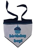 Birthday Boy Scarf - LARGE - by I SEE SPOT