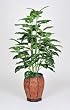 Artificial 4 Ft. Marble Dieffenbachia Floor Plant