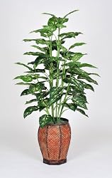 Artificial 4 Ft. Marble Dieffenbachia Floor Plant