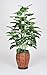 Artificial 4 Ft. Marble Dieffenbachia Floor Plant