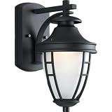 Progress Lighting P5775-31 1-Light Wall Lantern with Etched Glass, Textured Black