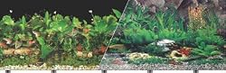 Double Sided Tropical Fresh Aquarium Background, 24" x 50"