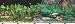 Double Sided Tropical Fresh Aquarium Background, 24" x 50"