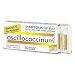 Boiron Homeopathic Medicine Oscillococcinum for Flu, 6-count Boxes of .04-ounce Doses