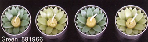 [DULTON]ダルトン キャンドル 4CANDLES WATER LILY GREEN S85919GN 