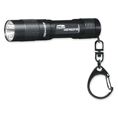 LiteXpress Mini Palm 101 schwarz, LED Schl�sselanh�nger, Lichtleistung 21 Lumen