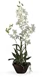 Dendrobium Silk Flower Arrangement w/ Clay Pot - White