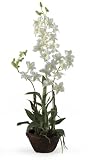 Dendrobium Silk Flower Arrangement w / Clay Pot - White - B001DTHUWI