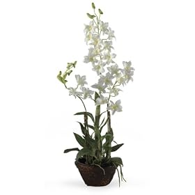 Dendrobium Silk Flower Arrangement w/ Clay Pot - White