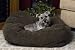 K&H Cuddle Cube Pet Bed, Small 24-Inch by 24-Inch, Mocha