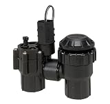 Rain Bird 3/4-Inch Professional Grade Sprinkler System Anti-Siphon Valve DAS075/ASVF