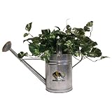 Missouri Tigers NCAA Watering Can