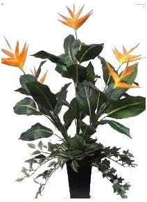 Heliconia with Wandering Jew, English Ivy &amp; Pothos Arrangement in Planter