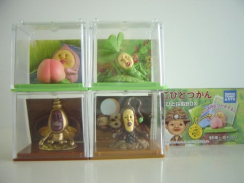 ���тƂÂ���&nbsp;���т�&nbsp;�̎�&nbsp;BOX&nbsp;�l�C4��&nbsp;���N���h�L�I�I&nbsp;���l&nbsp;:�S4��&nbsp;1&nbsp;�^�J���R�K�l&nbsp;2&nbsp;�J�N�������W��&nbsp;3&nbsp;��