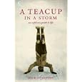 A Teacup in a Storm: An Explorer's Guide to Life
