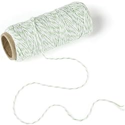 Martha Stewart Crafts Green and White Twine