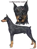 Doberman - Double Image by Cindy Farmer