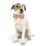 日本初上陸!! カナダ生まれのおしゃれな犬/猫用蝶ネクタイの首輪 Loyal Luxe（ロイヤル・ラックス）【The Gamer】 (Sサイズ)