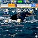 Zlauncher Backgrounds Nature Scenes downloadable Software