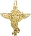 Chiropractor Charm by Rembrandt Charms
