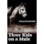 Three Kids on a Mule by William Meador
