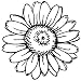 Rubber Stamp-Shasta Daisy