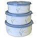 Corelle Coordinates Coastal Breeze 6-Piece Small Bowl Set