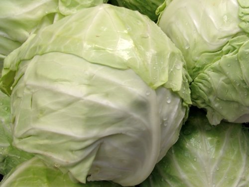 Weißkohl - Dithmarscher, früher - 100 Samen