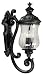 Kenroy Home Troubadour Ebony Pearl Medium Outdoor Wall Mount