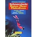Schnorcheln Rotes Meer, Malediven
