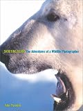Shooting Bears : The Adventures of a Wildlife Photographer
