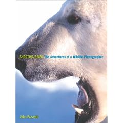 Shooting Bears: The Adventures of a Wildlife Photographer