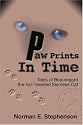 Paw Prints in Time:Tales of Beauregard the Far-Traveled Siamese Cat