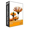 Intermediate Skills Pack ( Grades 5 through 8 ): Home Version