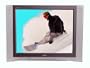 Sony 36" Flat Screen HDTV Monitor (kv-36hs500)
