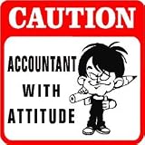 CAUTION: ACCOUNTANT finance cpa record sign 41RJMFA70VL. SL160 CAUTION: ACCOUNTANT finance cpa record sign
