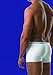 2(x)ist Men's Varsity Trunk