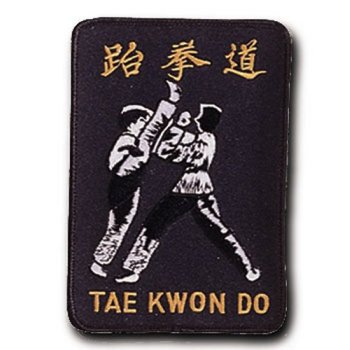 Tae Kwon Do Kick Patch